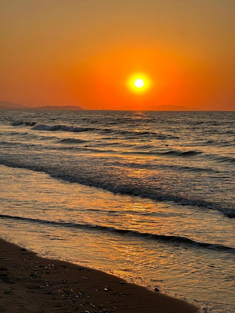 苹果手机哪款拍照效果最好