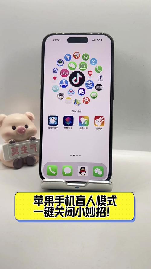 苹果手机怎么关闭盲人模式