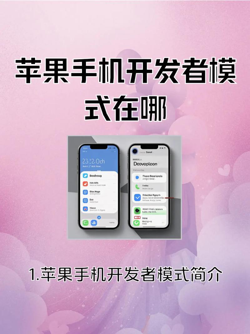 苹果手机开发者选项在哪里