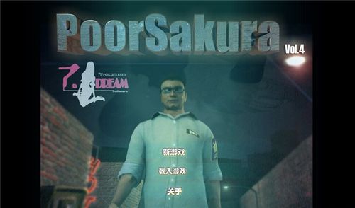 雯雅婷4安卓版汉化安装