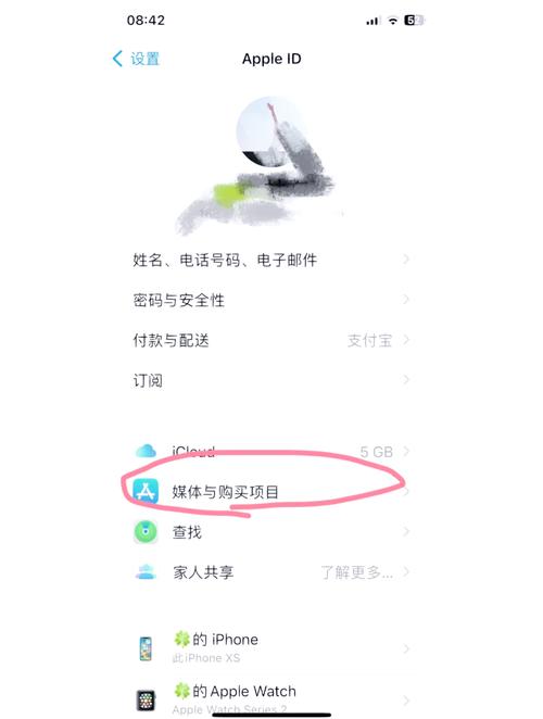 苹果自带浏览器打不开网页