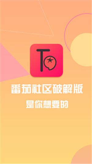 番茄社区安卓app下载