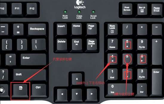 笔记本电脑触摸鼠标动不了