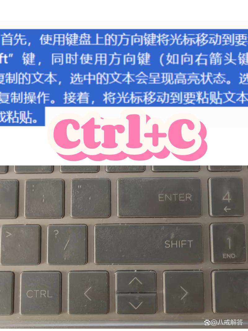 电脑没有鼠标怎么复制粘贴