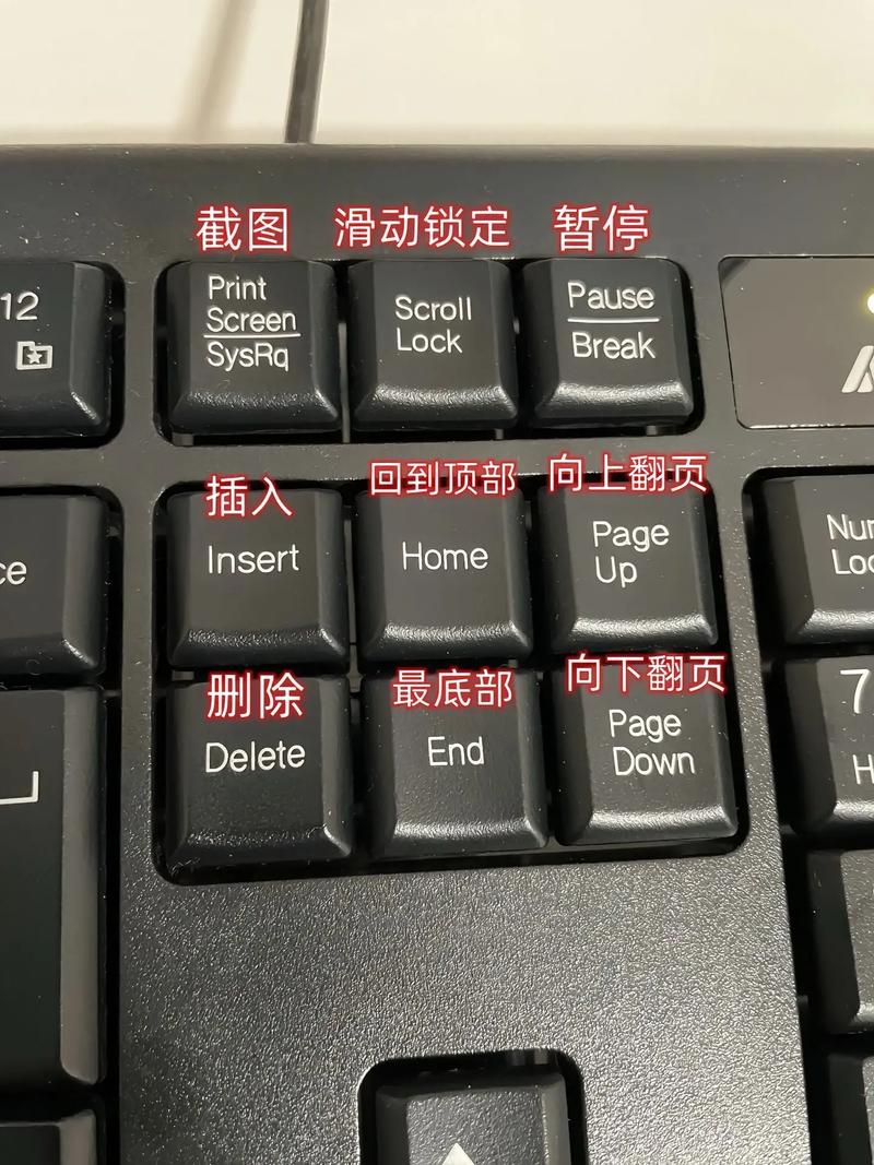 电脑enter是什么意思