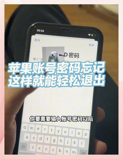 苹果ID码忘记了怎么办