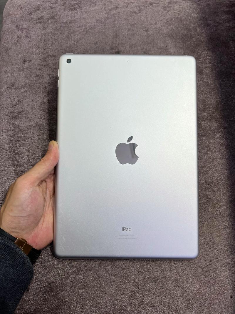 91助手苹果ipad版