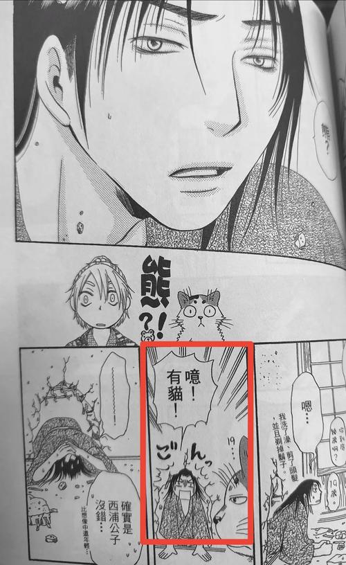 长鸿433手机安卓版本