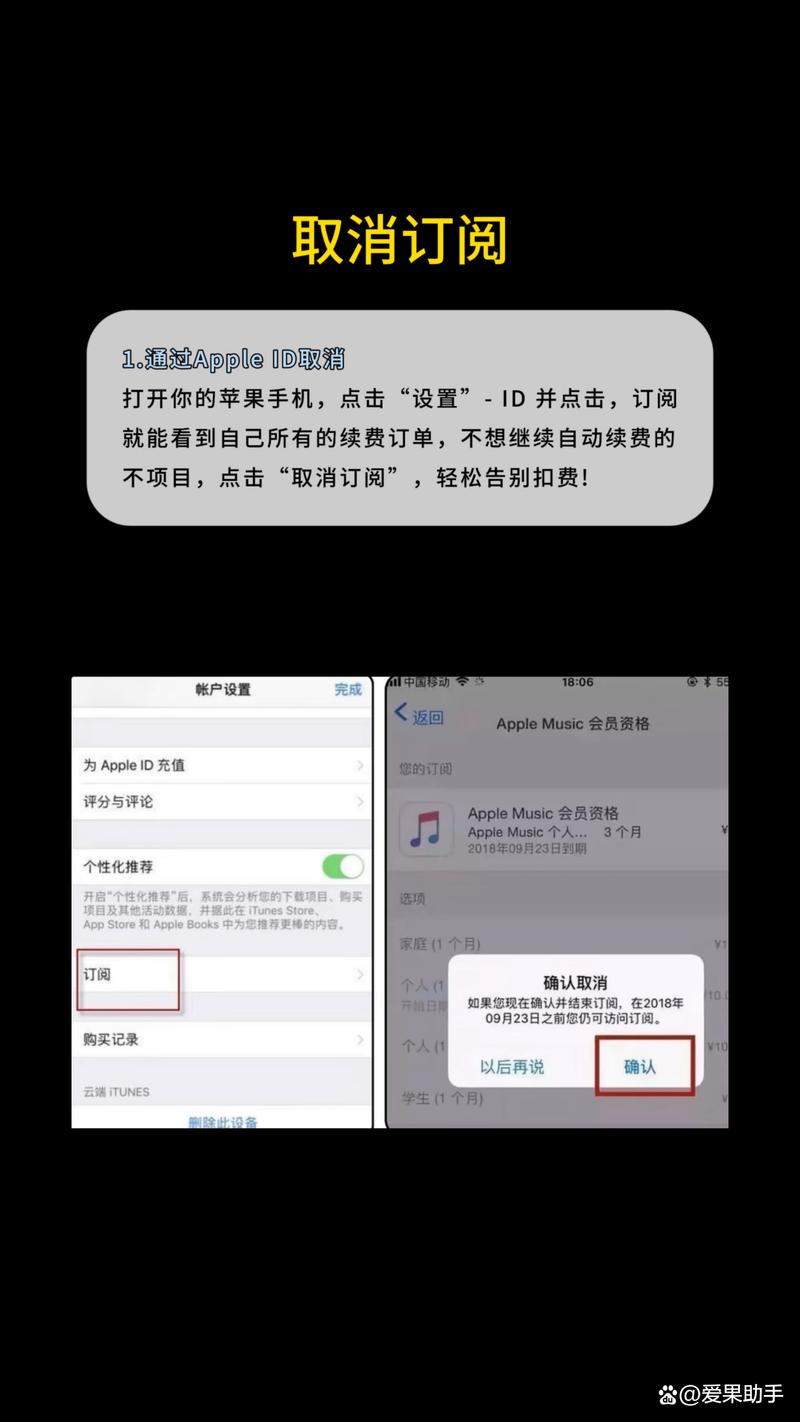 苹果的已购项目怎么删除