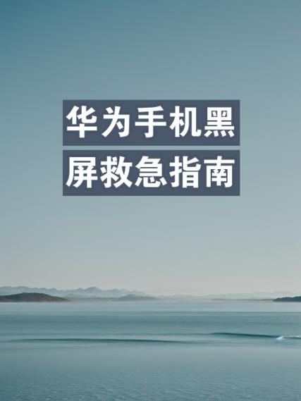 安卓手机不能开机怎么办