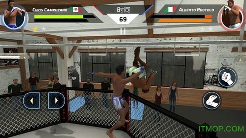 mma综合格斗游戏安卓