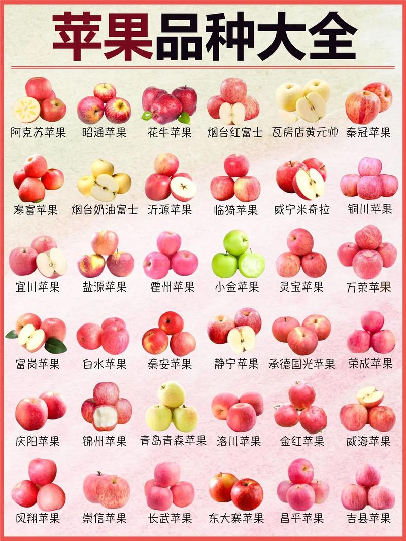 苹果产品类型是什么意思