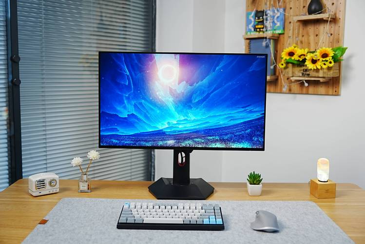 什么牌子的电脑显示器好