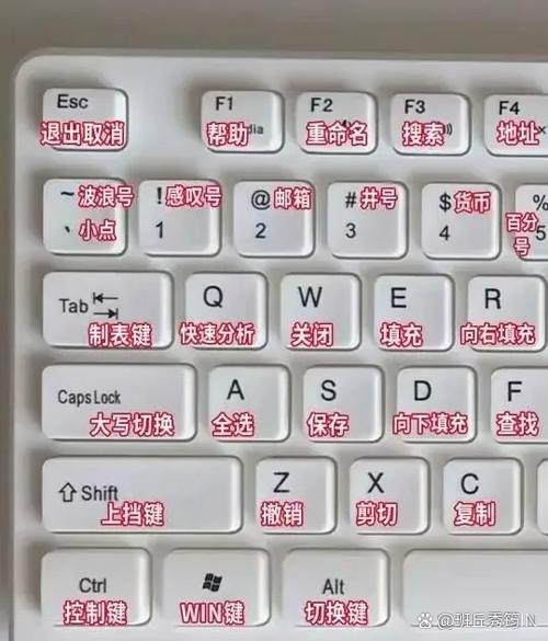 电脑怎么用键盘复制粘贴