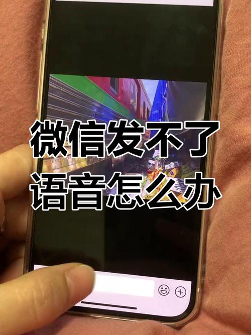 苹果手机微信不能发语音