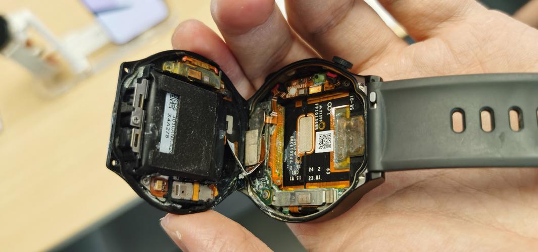 echo回声解析器安卓