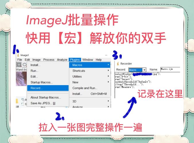 安卓dpk文件怎么安装