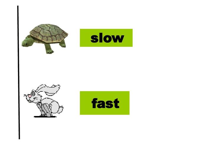 slow fast安卓