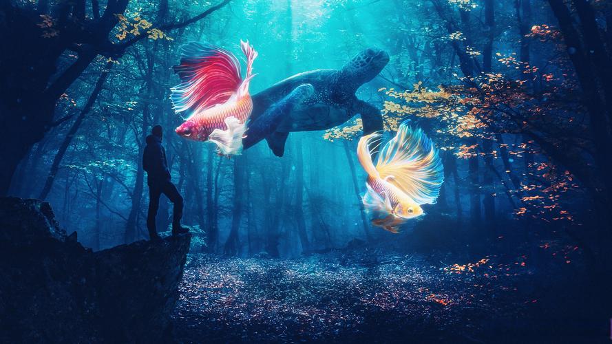 15.6寸电脑桌面壁纸