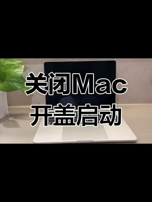 苹果电脑开机声音怎么关