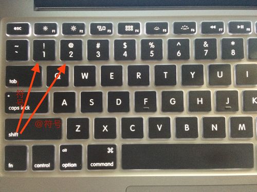 笔记本电脑怎么输入数字