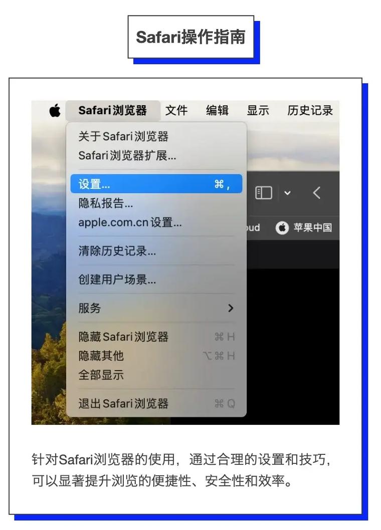 苹果浏览器怎么设置主页