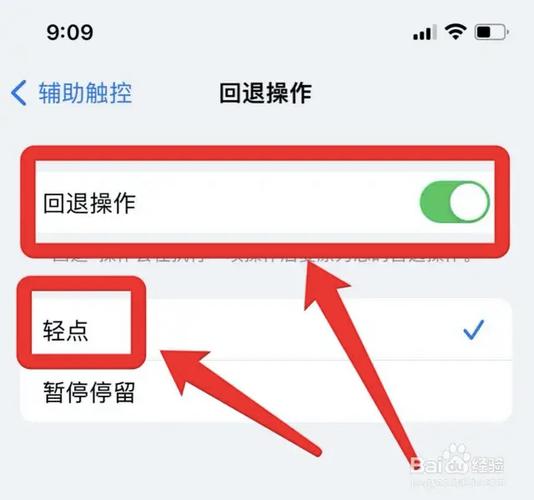 苹果手机如何设置返回键
