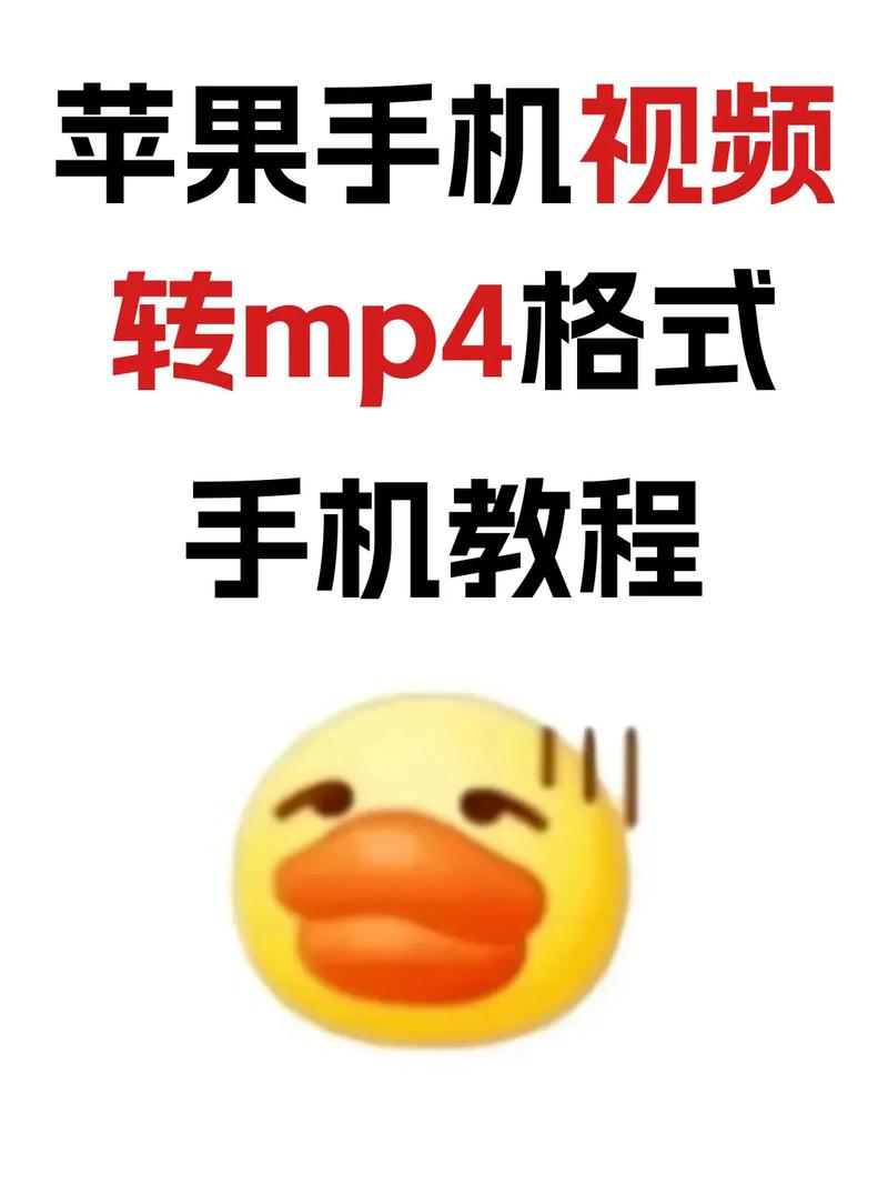 手机视频怎么在电脑播放