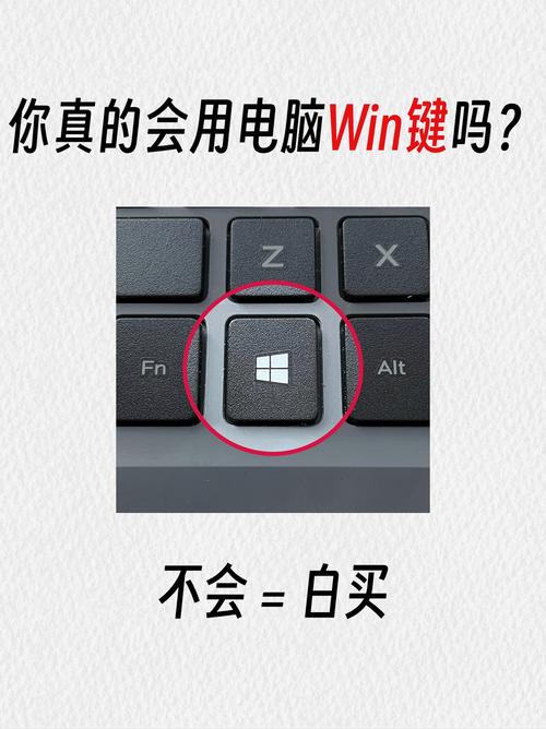 电脑上的win键是哪个