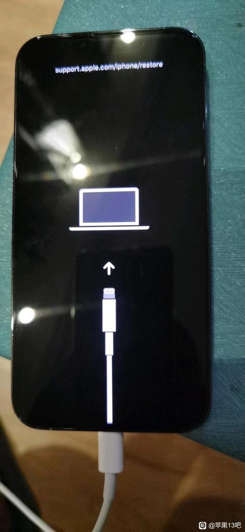 苹果6s充电没反应黑屏