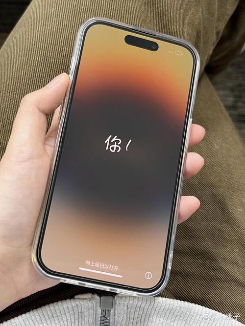 苹果手机能刷安卓系统吗