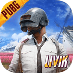 刺激战场国际服下载安卓