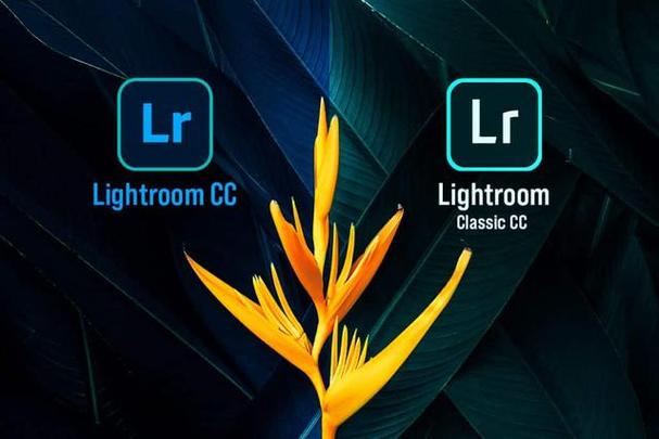 lightroom安卓