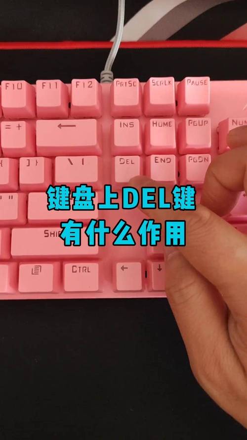 笔记本电脑del键在哪