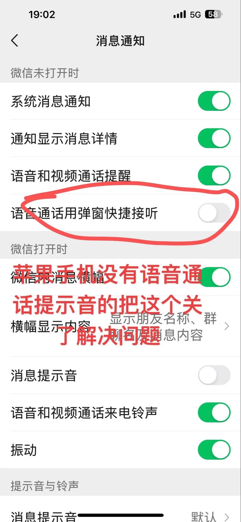 苹果来电没声音怎么回事