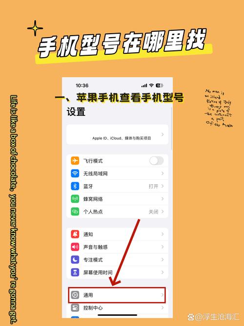 怎么知道自己手机的型号