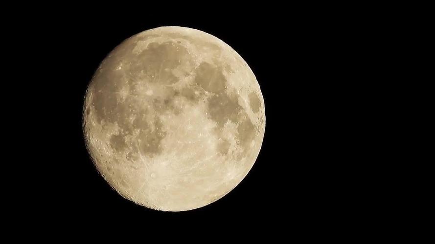 月亮视频播放器安卓版