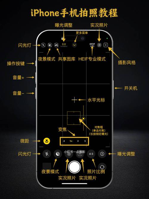 苹果手机拍照怎么是反的