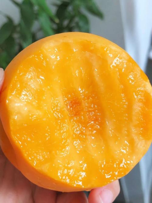 芒果和苹果可以一起吃吗