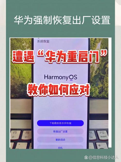 手机恢复出厂设置怎么弄