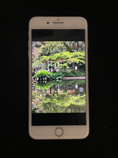 苹果手机实况照片怎么拍