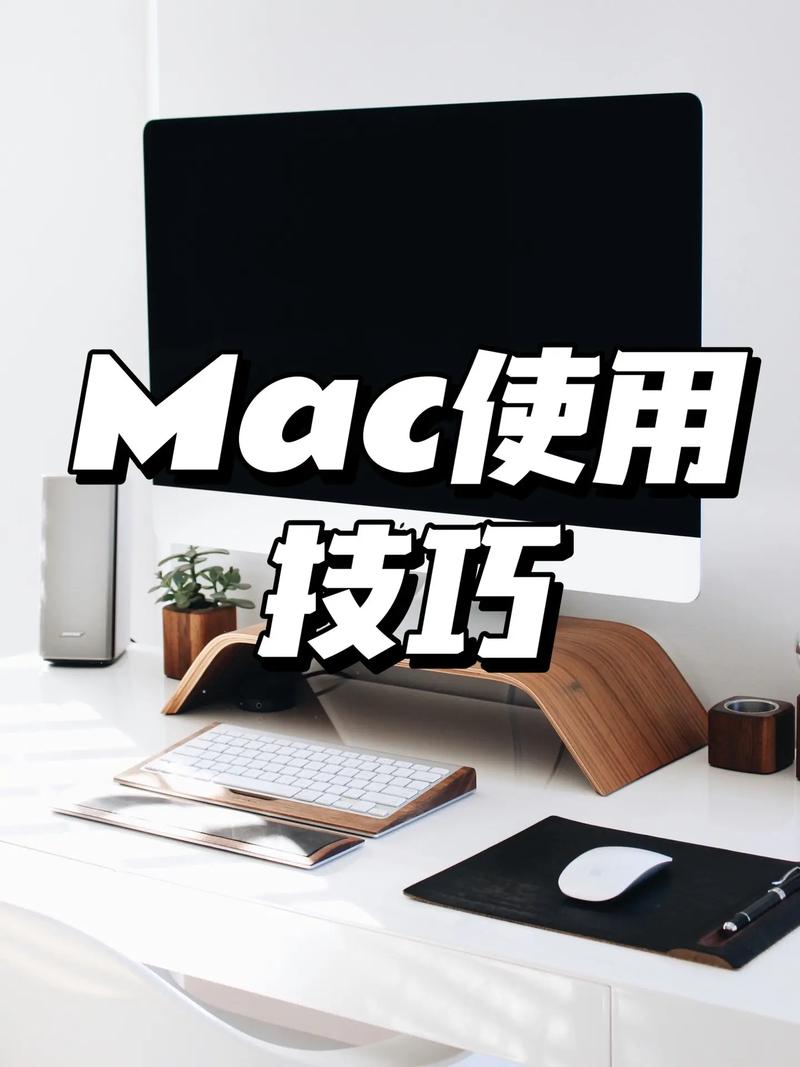 苹果电脑怎么上下滑动