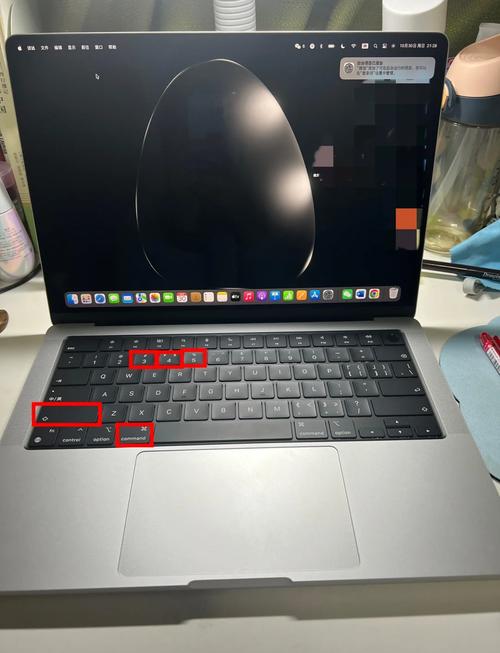 iphone连电脑上网