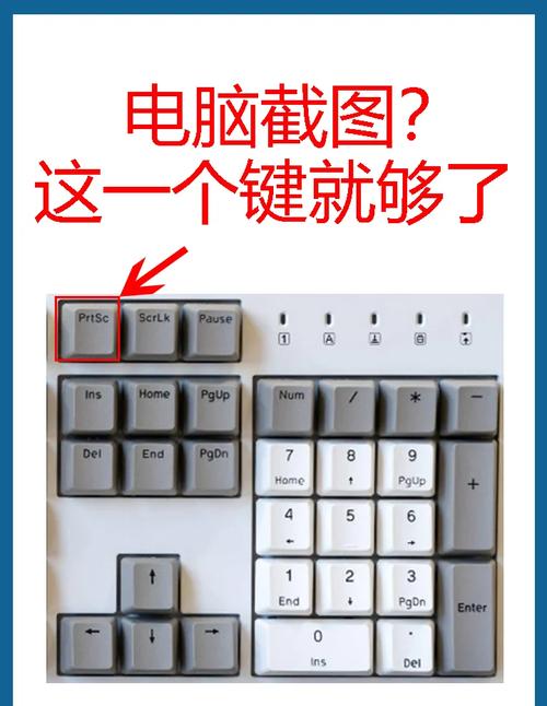 电脑excel怎么截图