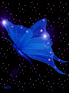 蝴蝶动态壁纸手机壁纸