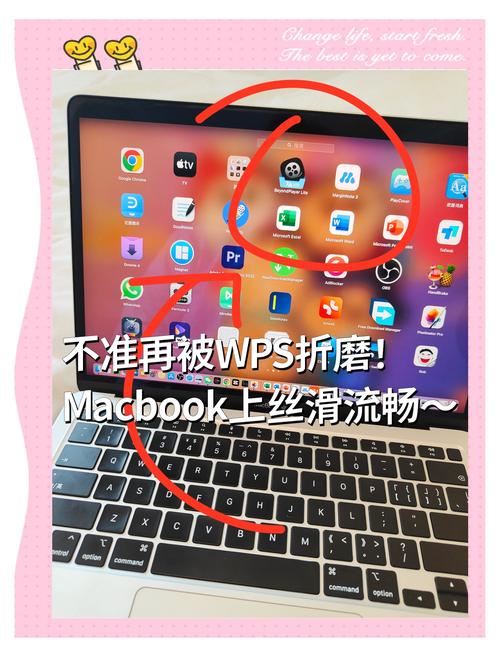 苹果电脑不会用怎么办