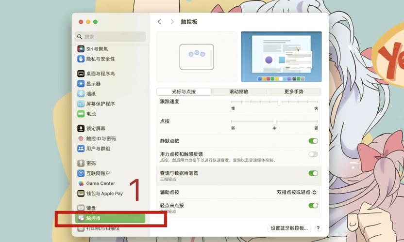 苹果电脑怎么联网设置