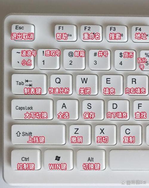 电脑tab键有什么功能