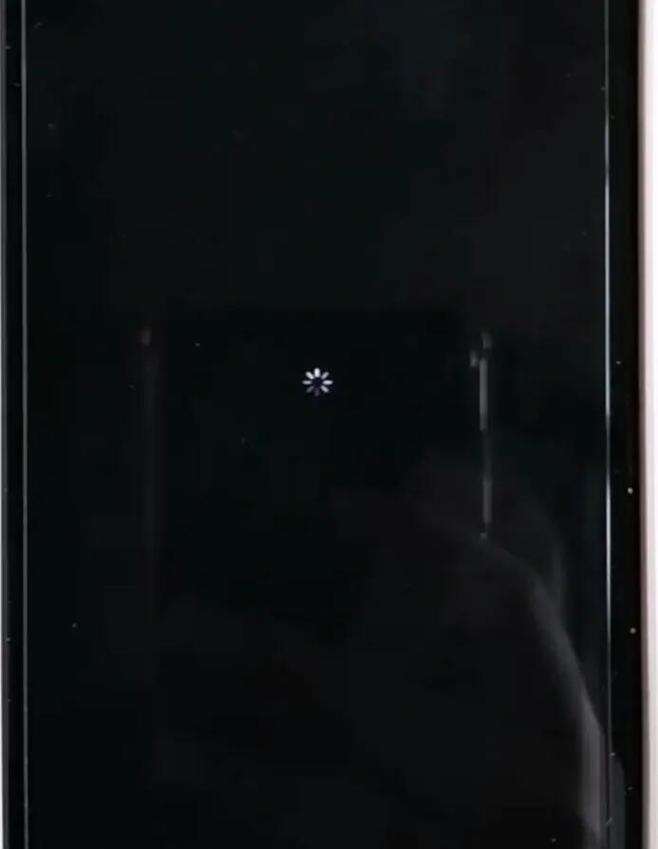 苹果手机开不了机黑屏