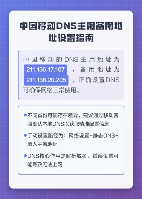 手机的dns怎么设置